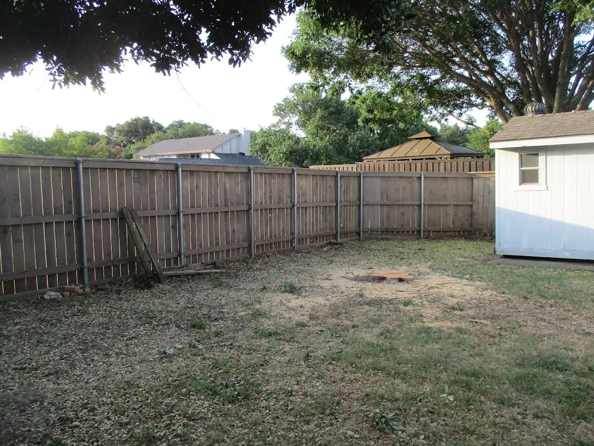 Cleared yard after professional tree removal in Little Switzerland