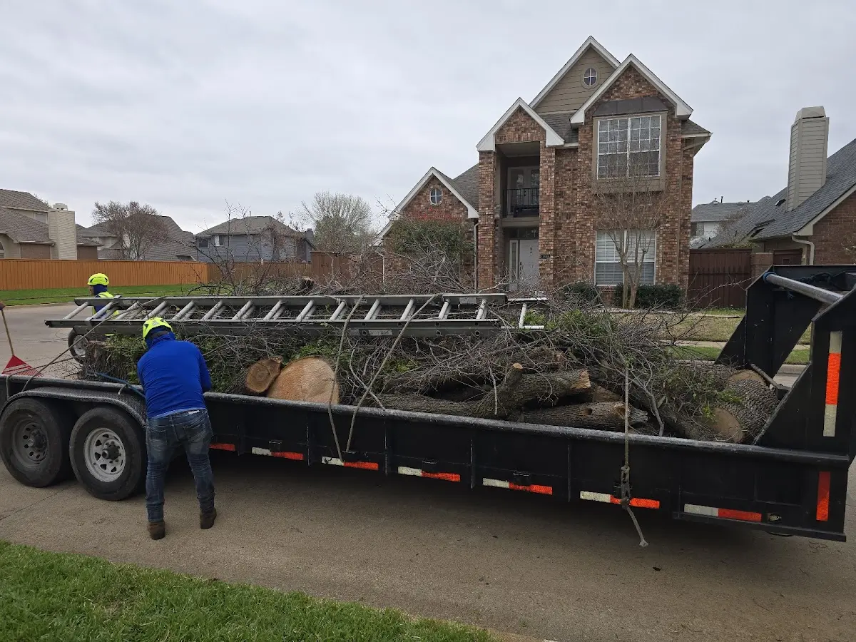 Expert Tree Pest Control with proper safety equipment in Little Switzerland